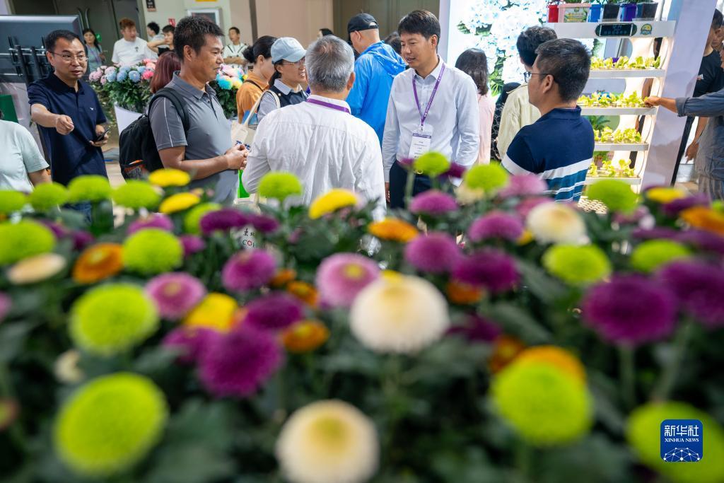 棋牌送金币3元